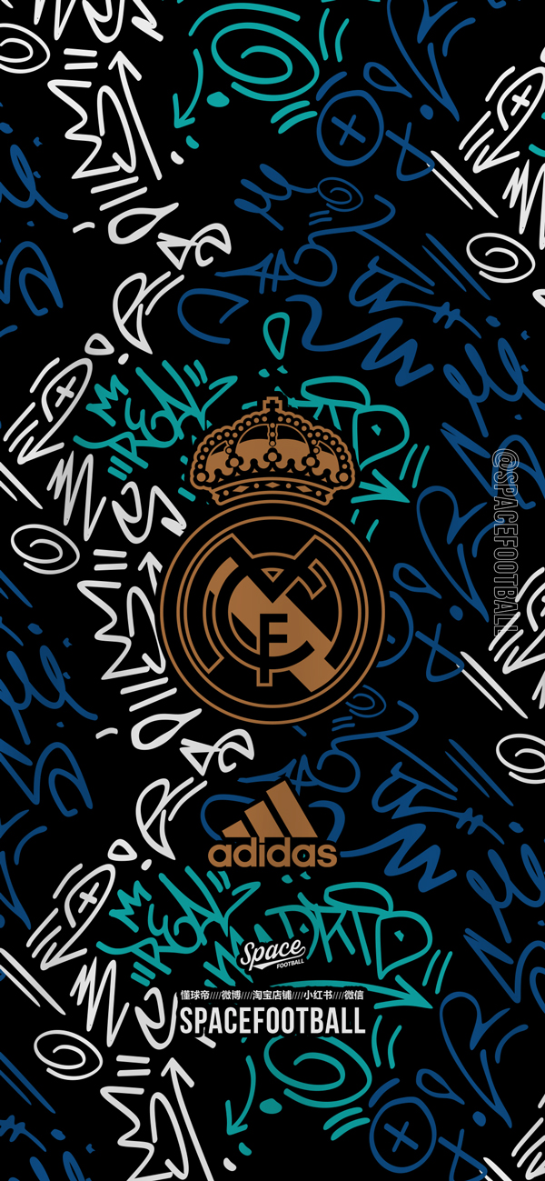 的中东国家 的中东国家