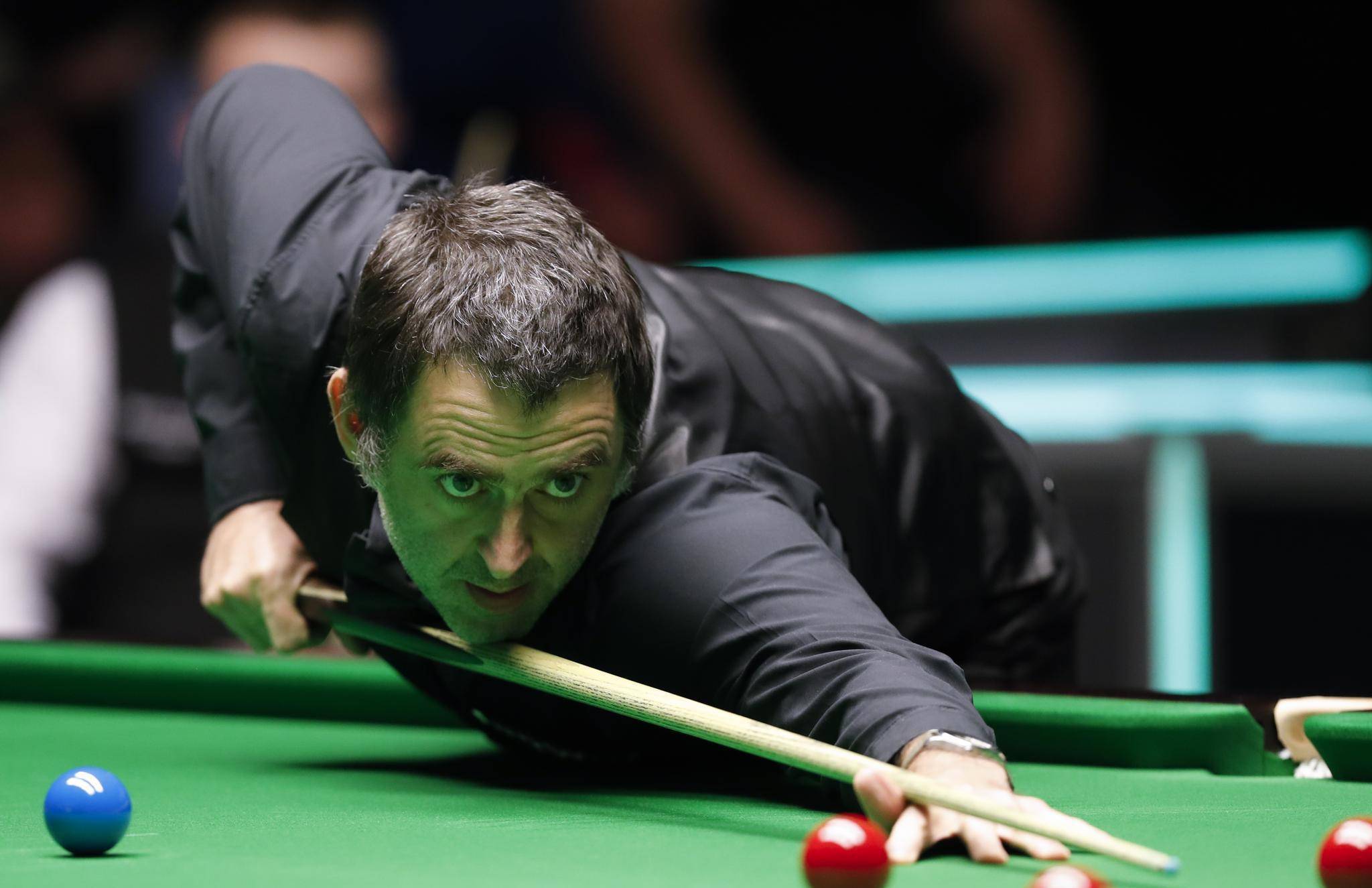 固定式网罩 固定式网罩