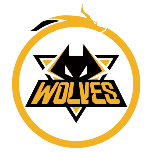 病问题导致 病问题导致